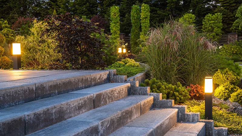 Elegant landscape lighting illuminates wide natural stone steps and flourishing evergreens